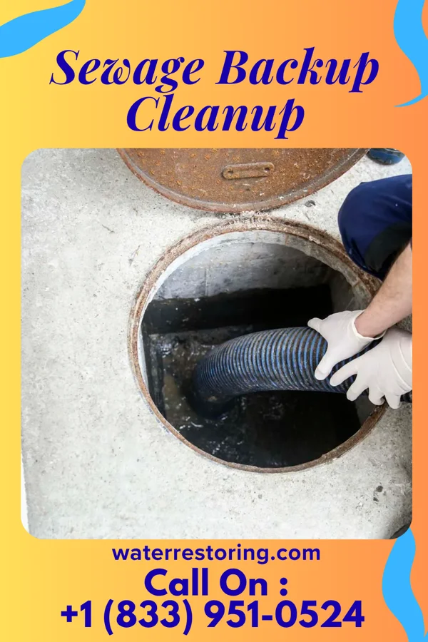 Sewage Backup Cleanup in Beemer, NE